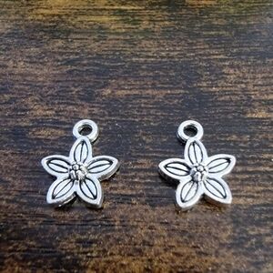 (2) New Flower Charms + Organza Bag Miniature Fashion Jewelry